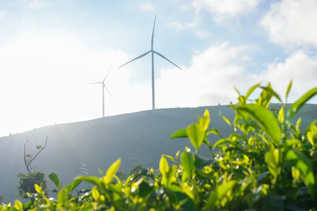 India’s Wind Energy Capacity Surges Over 10.5% to 51.5 GW in 2025