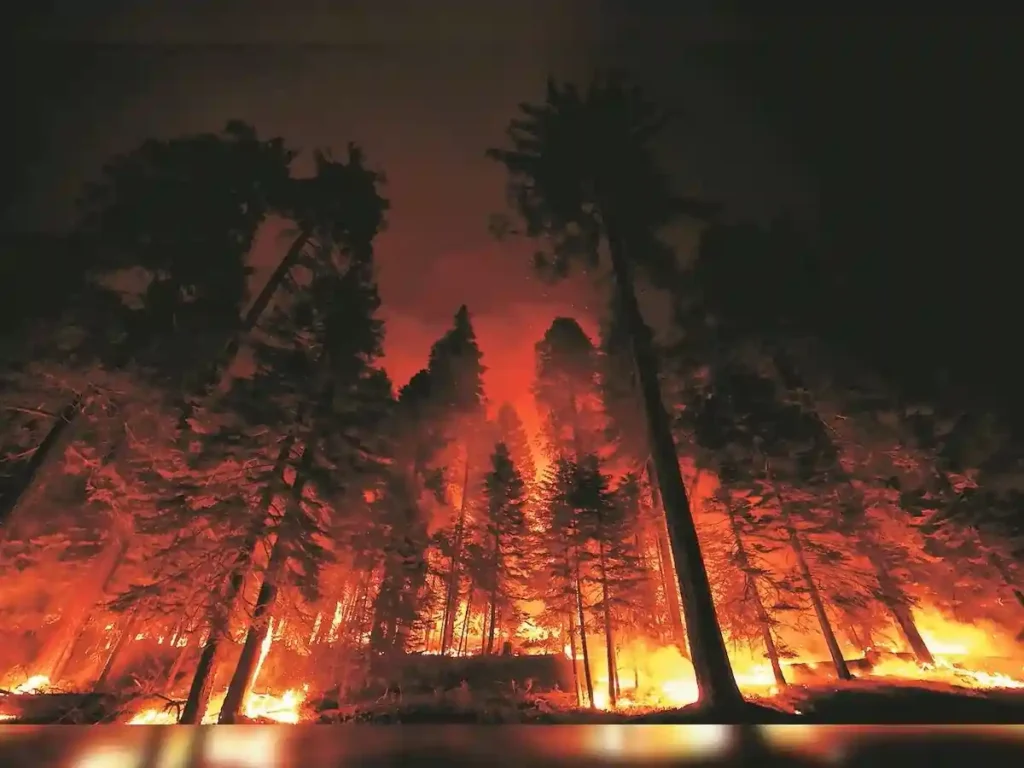 A massive forest fire broke out in the Bhaga village area near NH-144A in Reasi district, Jammu & Kashmir, on Friday, June 14, 2025