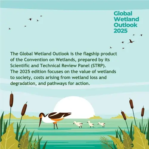 Global Wetland Outlook 2025