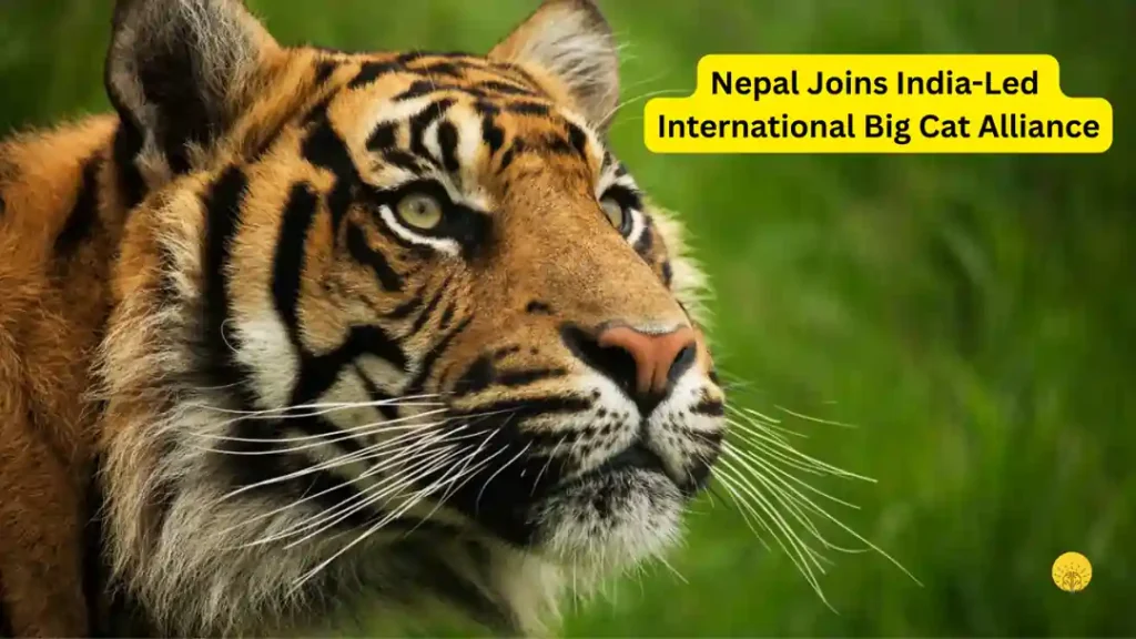 Nepal Joins India-Led International Big Cat Alliance
