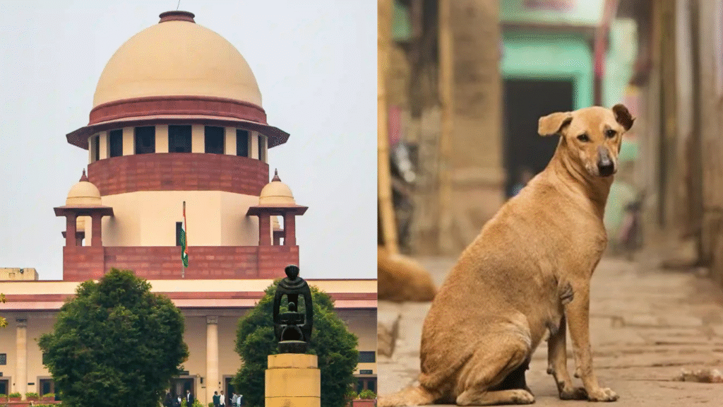 Supreme Court Orders Swift Action to Curb Stray Dog Menace in Delhi-NCR