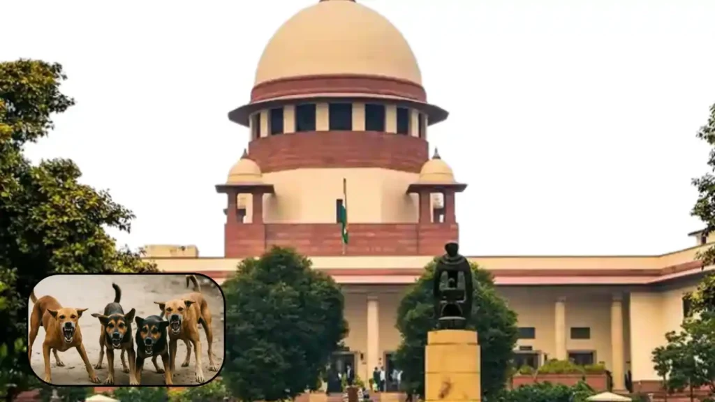 Supreme Court Mandates Stray Dog Removal